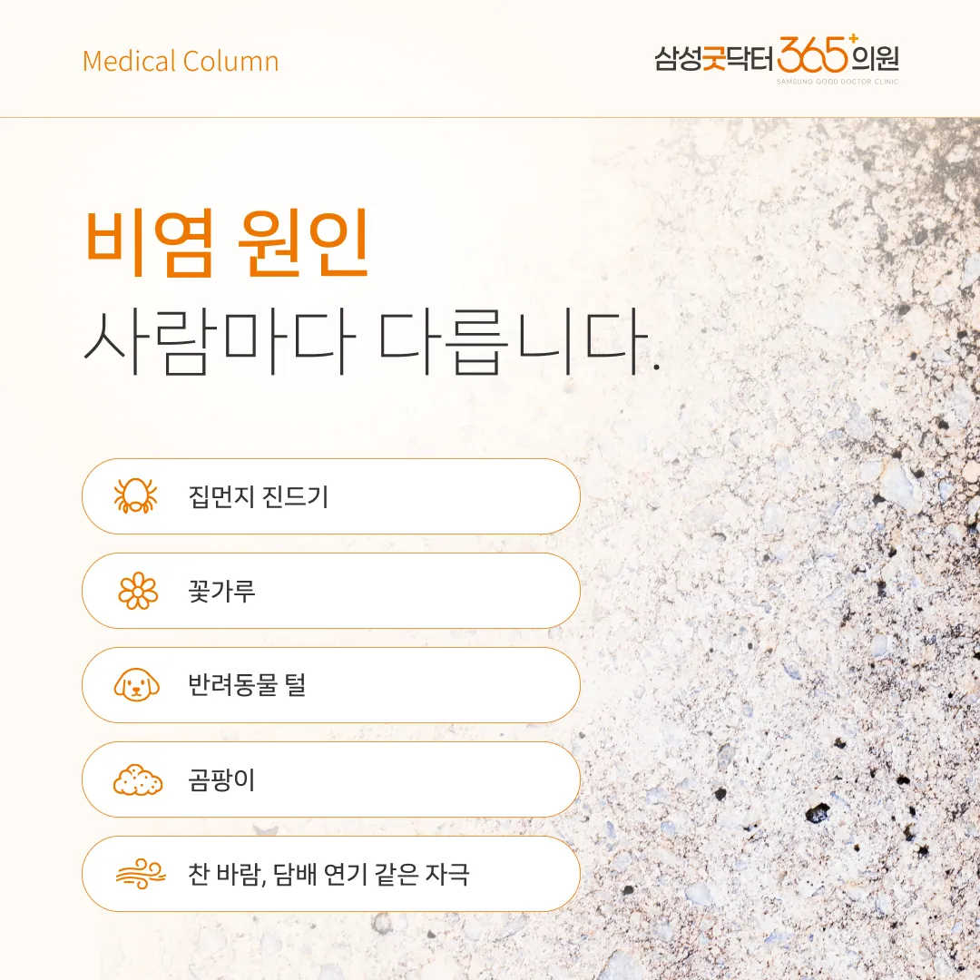 알레르기 비염 주요 원인 — 집먼지진드기, 꽃가루, 반려동물, 곰팡이